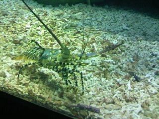 080319ebi
