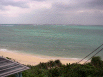 20051212011018.gif